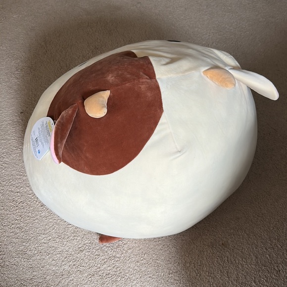 He is a little too big for me to have anymore. I am moving and takes space. :( - Picture 5 of 6